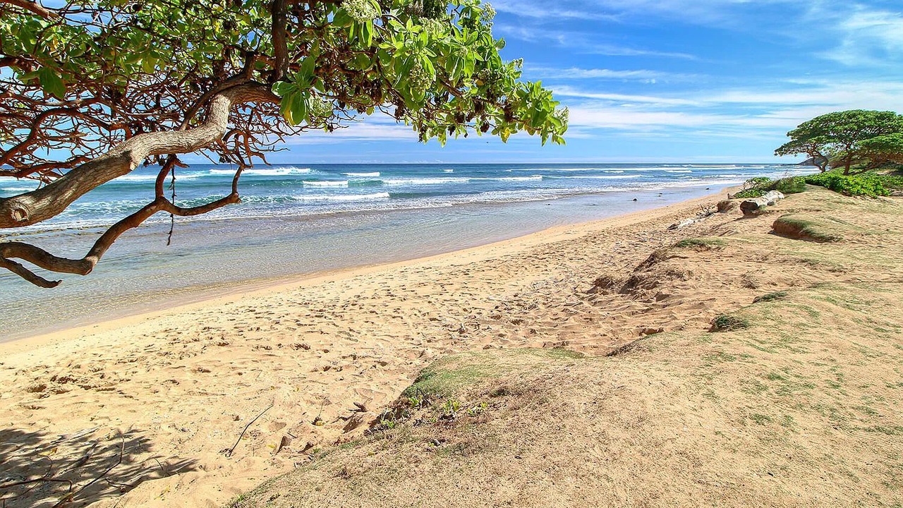 Photo of Others in Hanamaulu