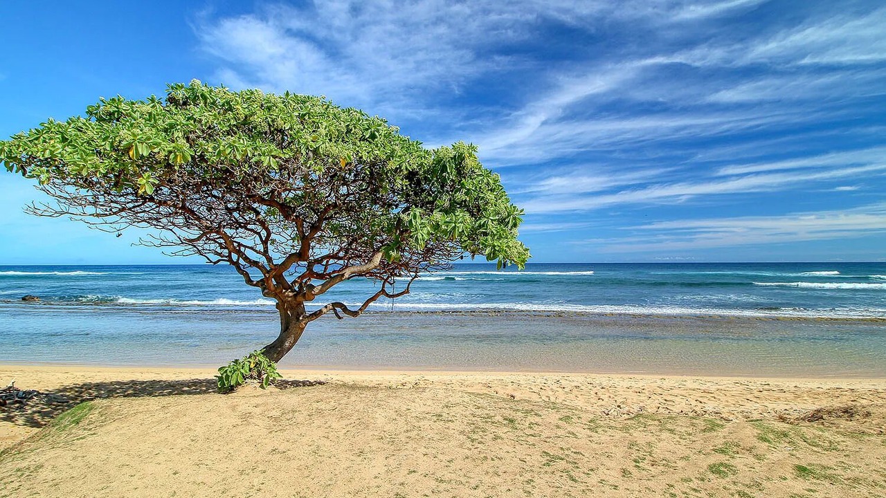 Photo of Others in Hanamaulu