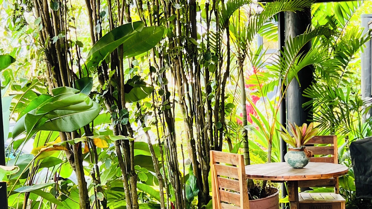 Photo of Outdoor in Kaiulani