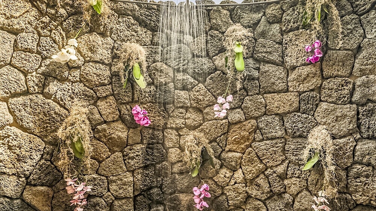 Photo of Outdoor in Poipu