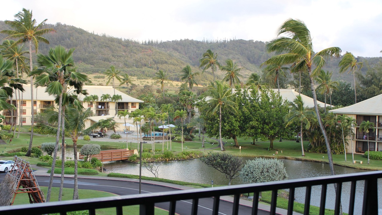 Photo of Outdoor in Hanamaulu