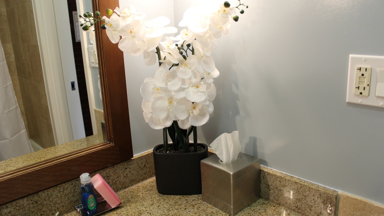 Photo of Bathroom in Hanamaulu