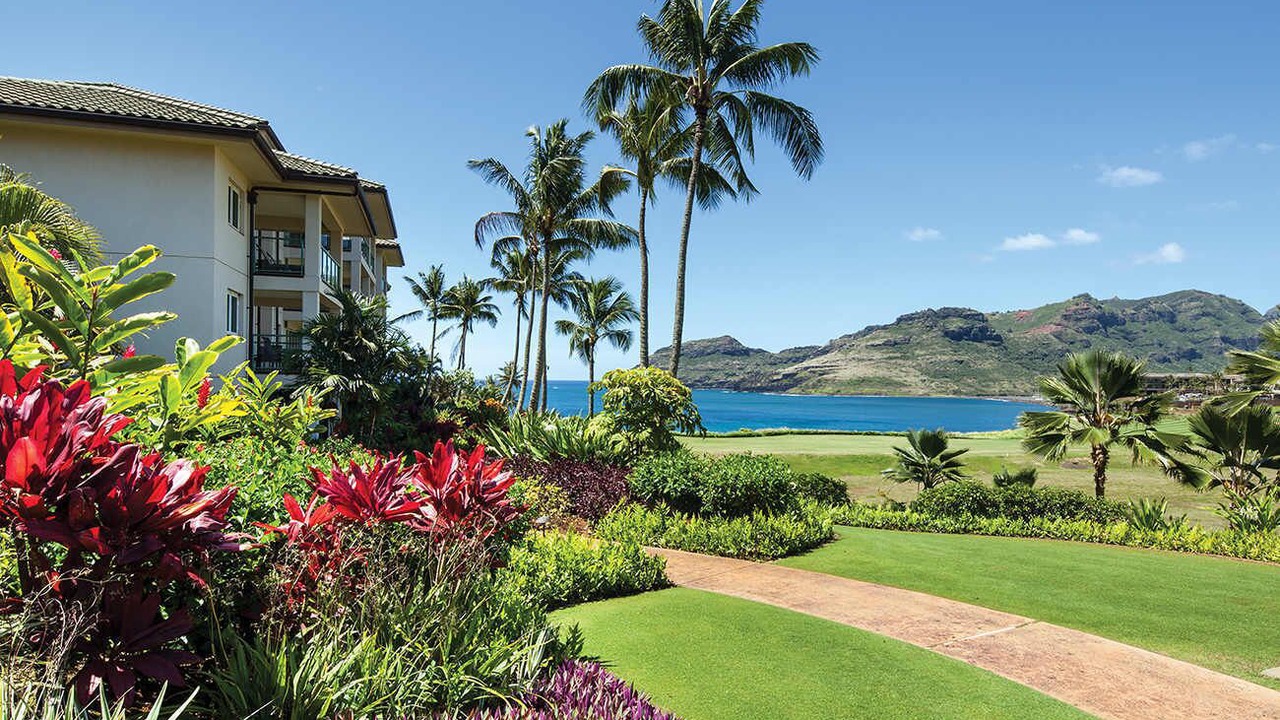 Photo of Outdoor in Lihue