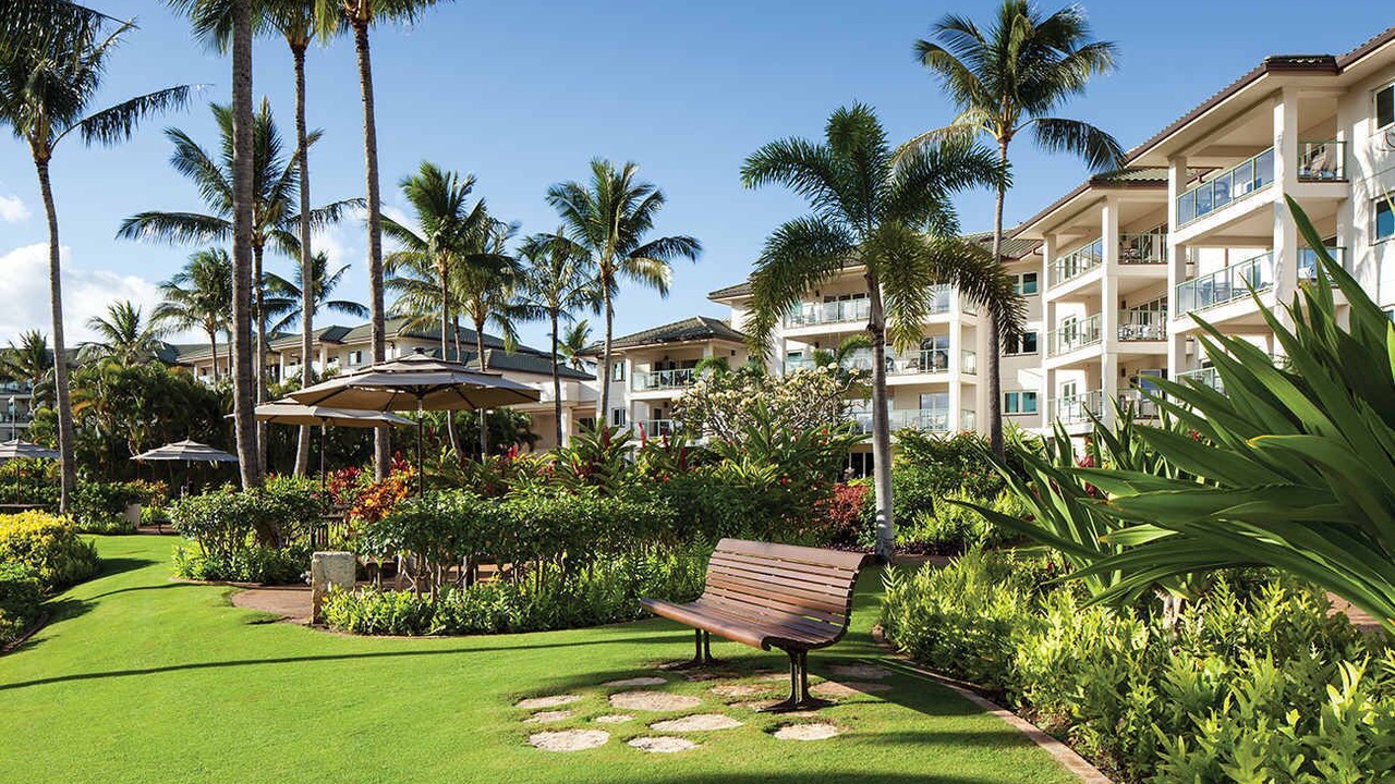 Photo of Outdoor in Lihue