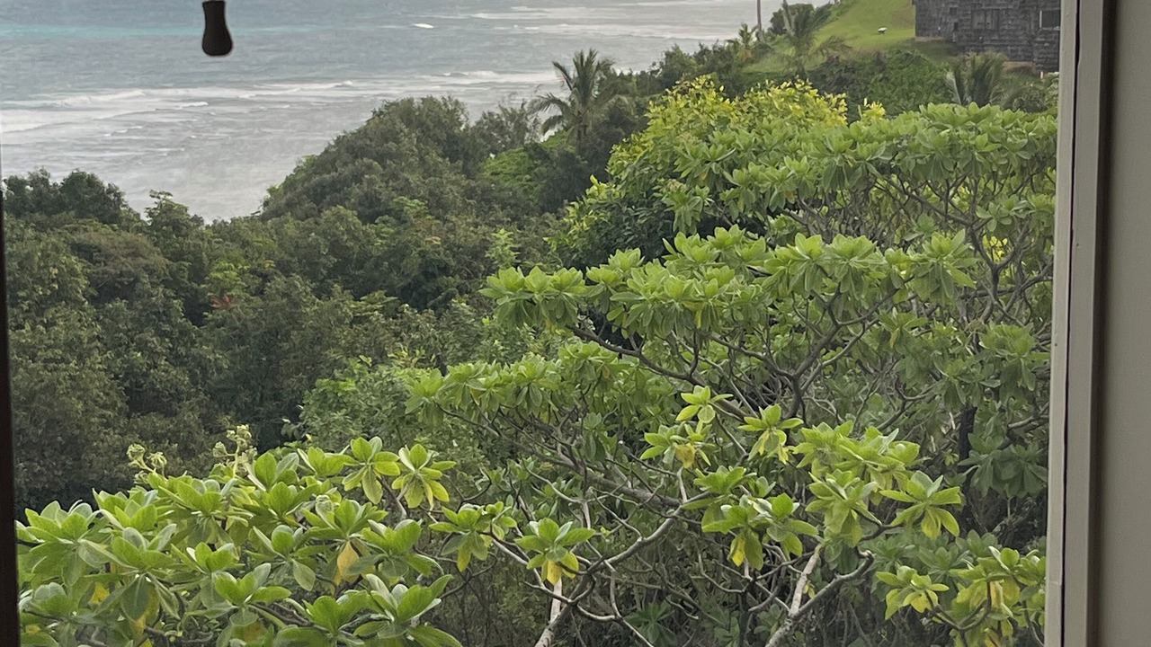 Photo of Others in Princeville