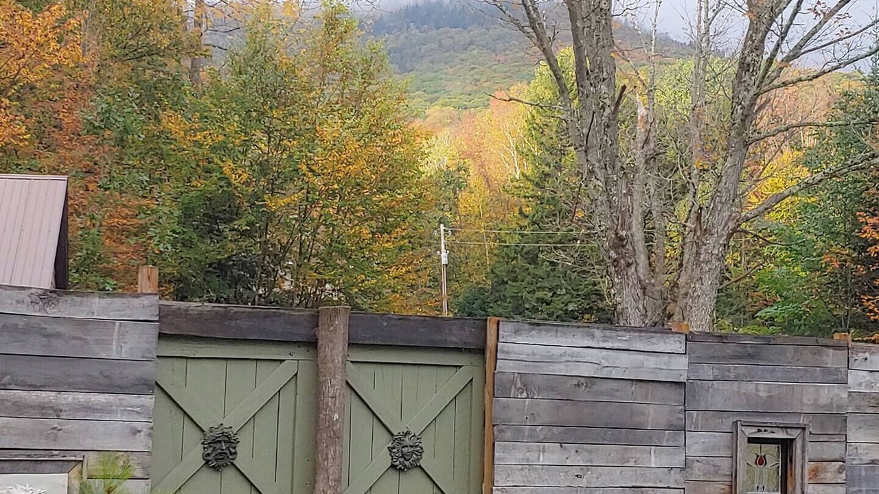 Photo of Outdoor in Stony Creek