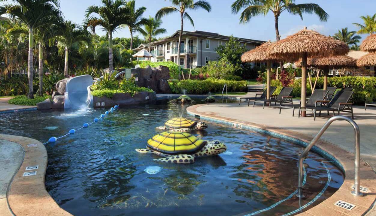 Photo of Outdoor in Kaiulani