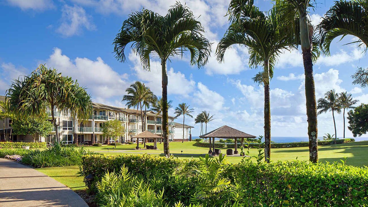 Photo of Outdoor in Kaiulani