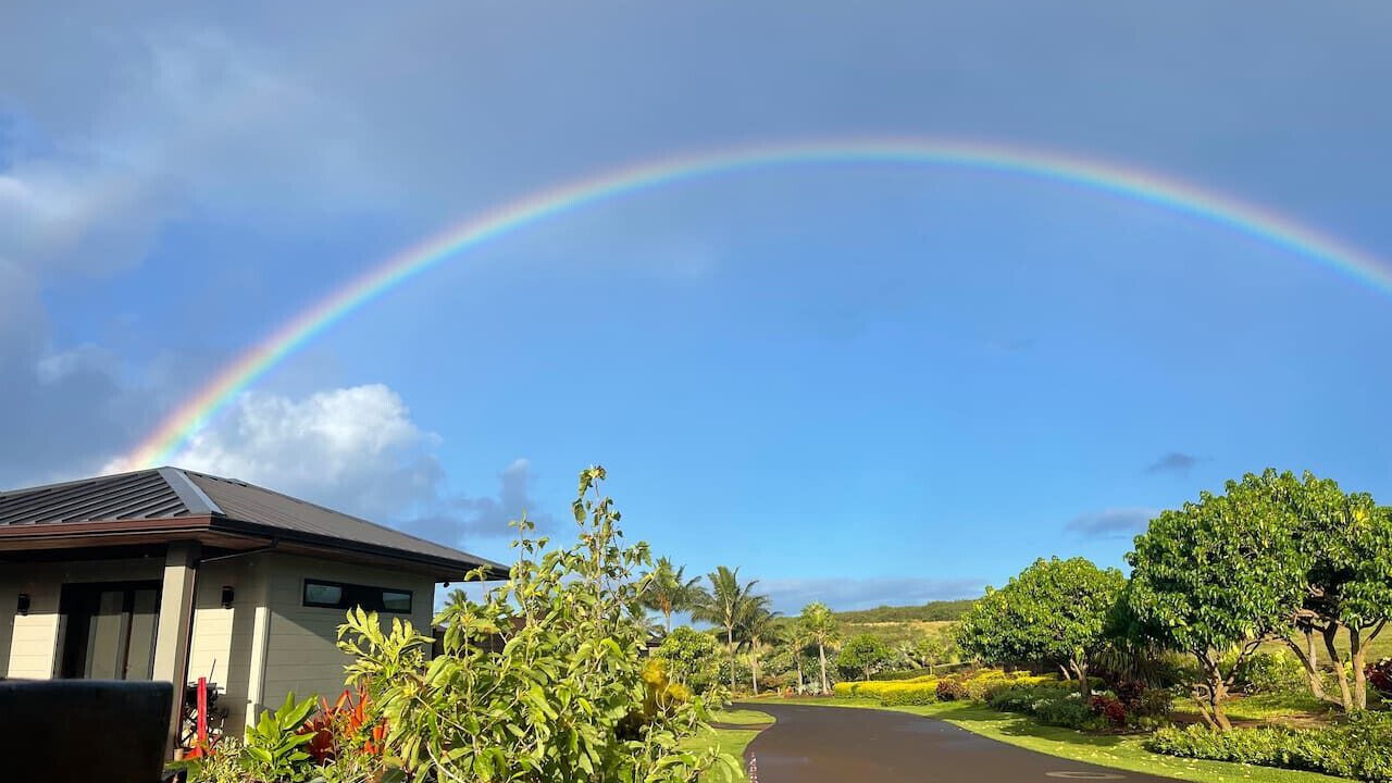 Photo of Others in Poipu
