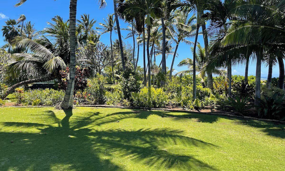 Photo of Others in Kekaha