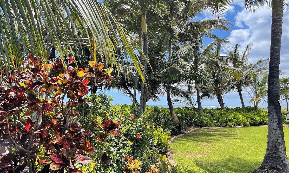 Photo of Outdoor in Kekaha