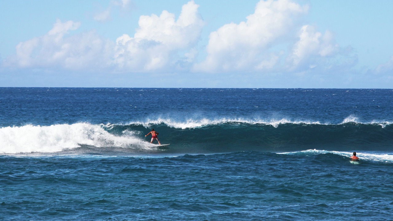 Photo of Others in Poipu