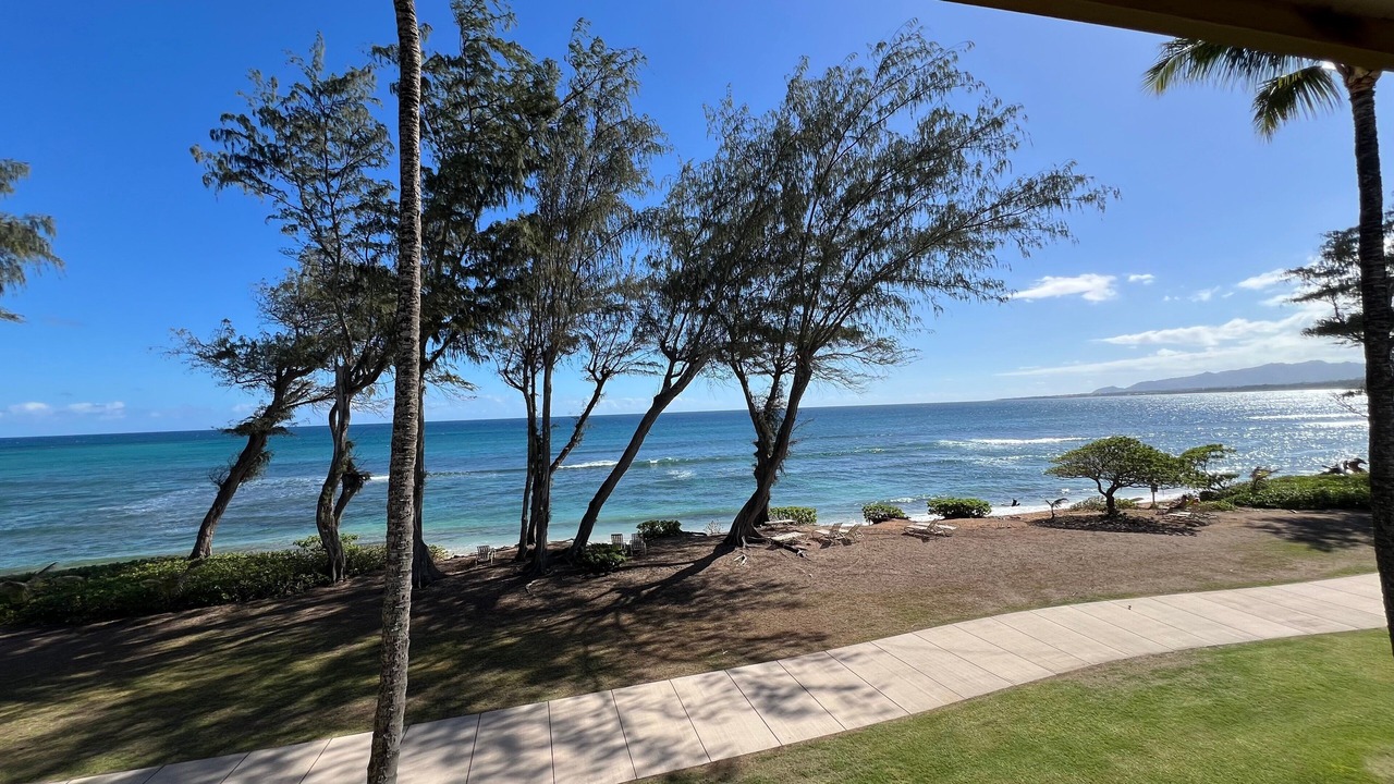 Photo of Others in Wailua
