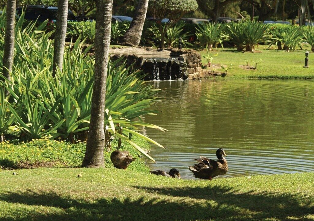 Photo of Others in Hanamaulu