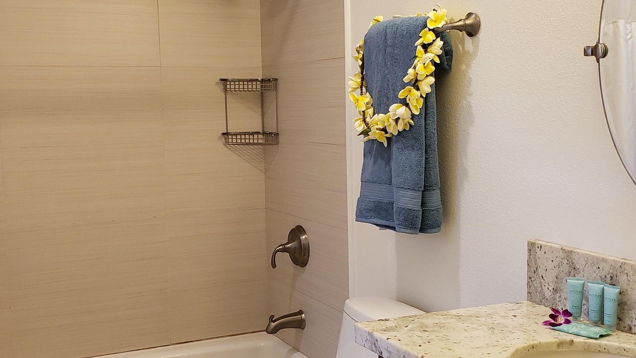 Photo of Bathroom in Wailua