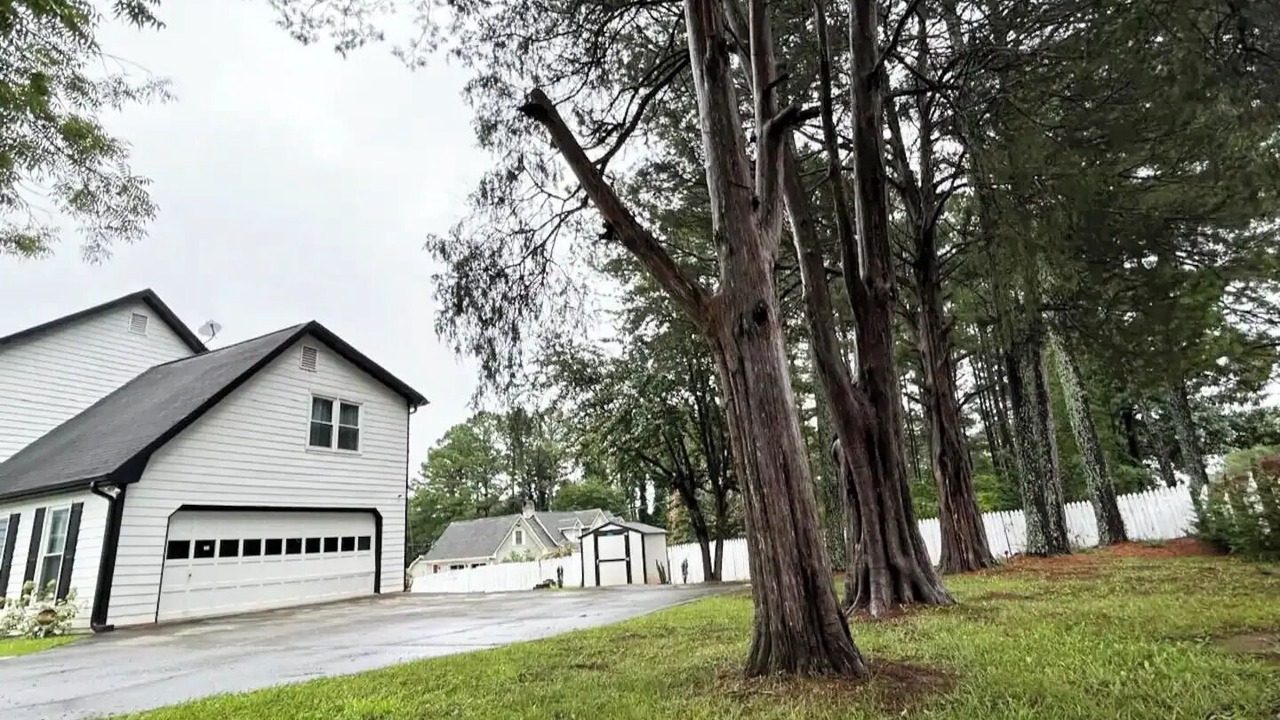 Photo of Outdoor in Stone Mountain