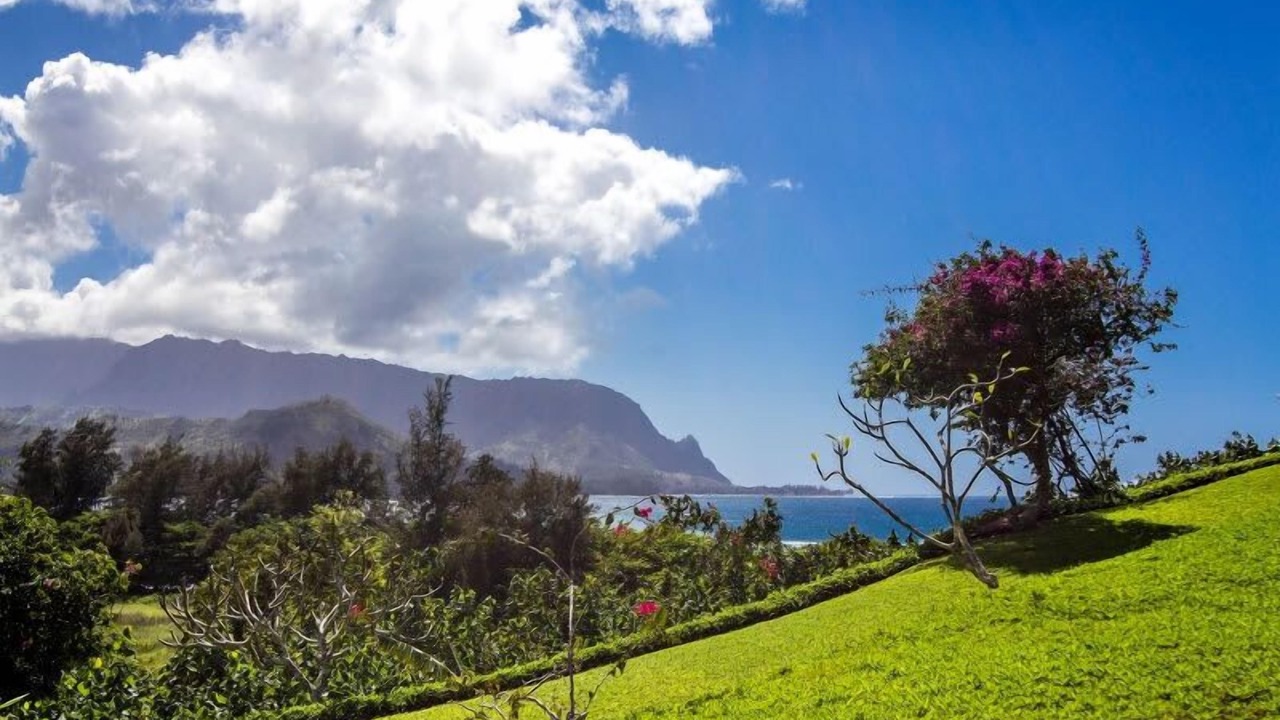 Photo of Others in Princeville