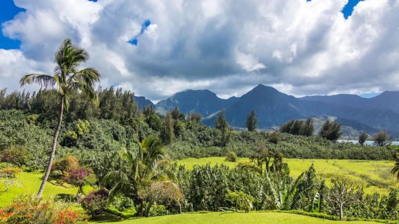Photo of Others in Princeville