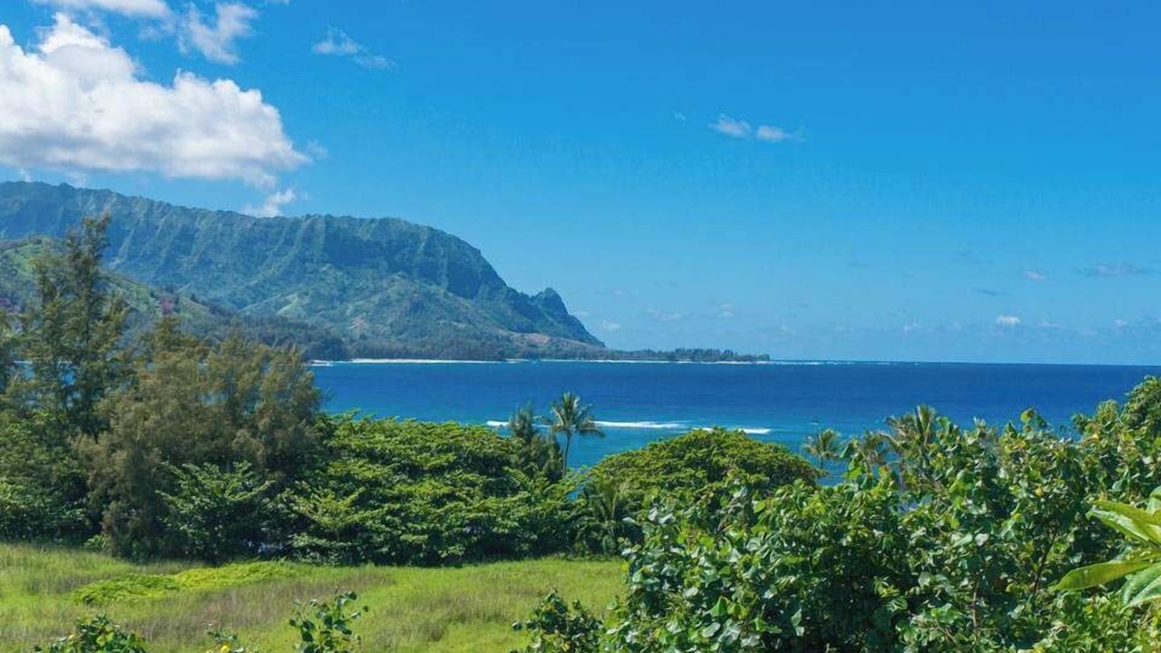 Photo of Others in Princeville