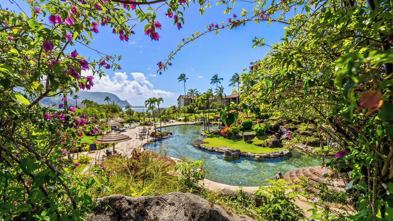Photo of Outdoor in Princeville