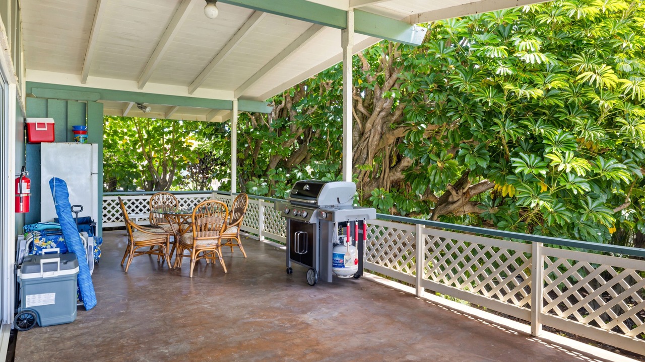 Photo of Outdoor in Poipu