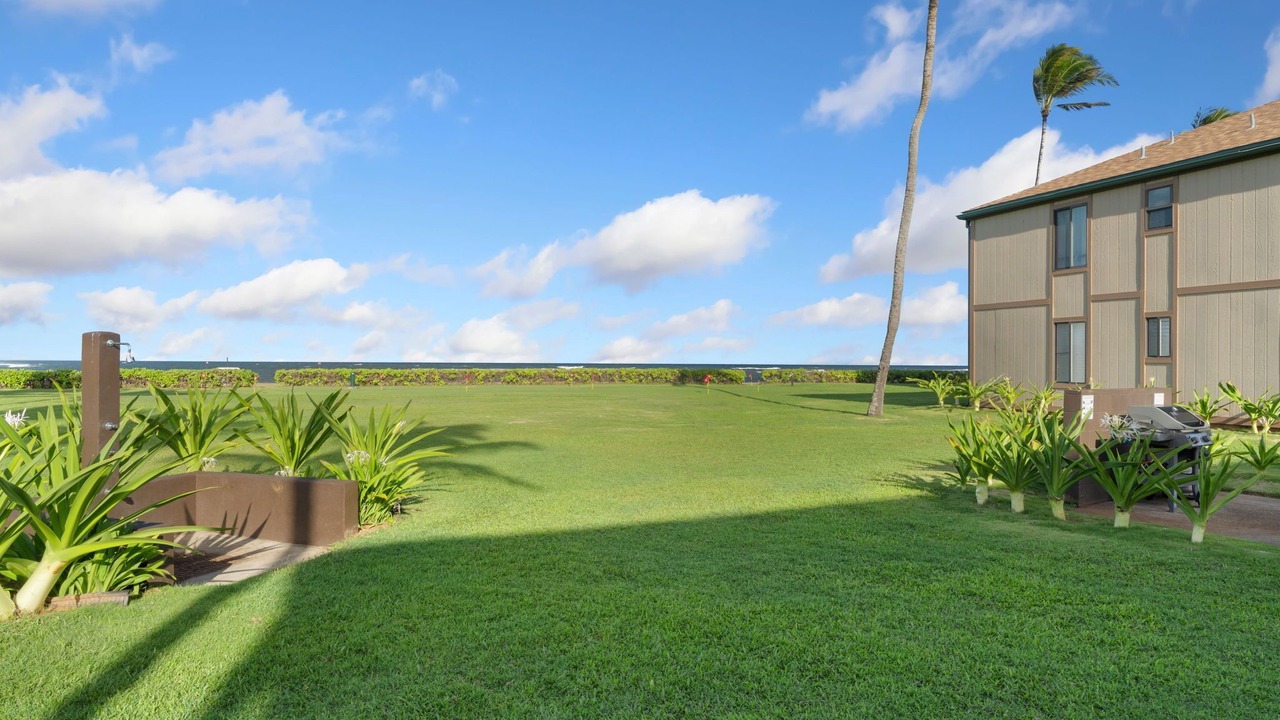 Photo of Others in Kapaa