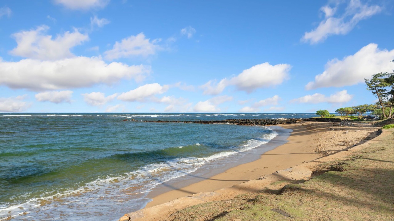 Photo of Others in Kapaa