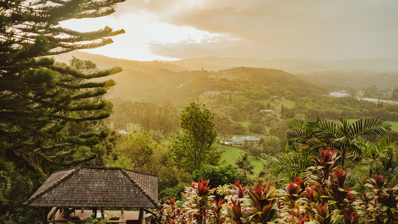 Photo of Others in Lawai
