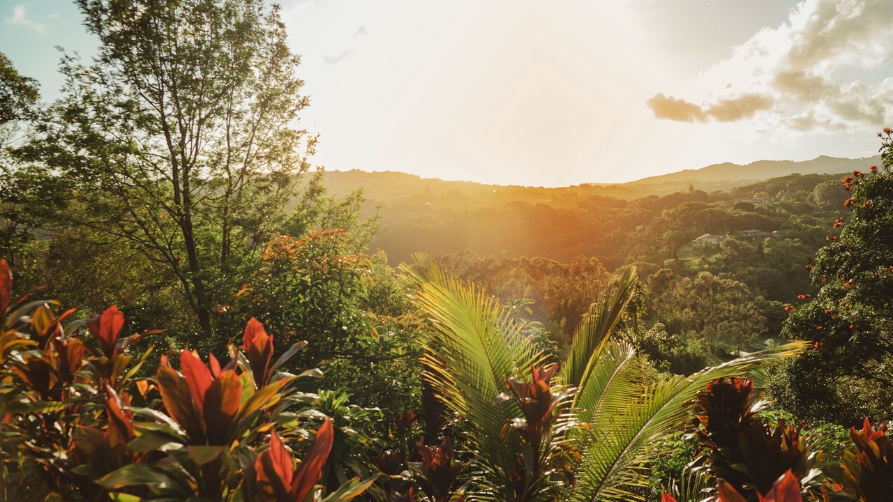 Photo of Others in Lawai