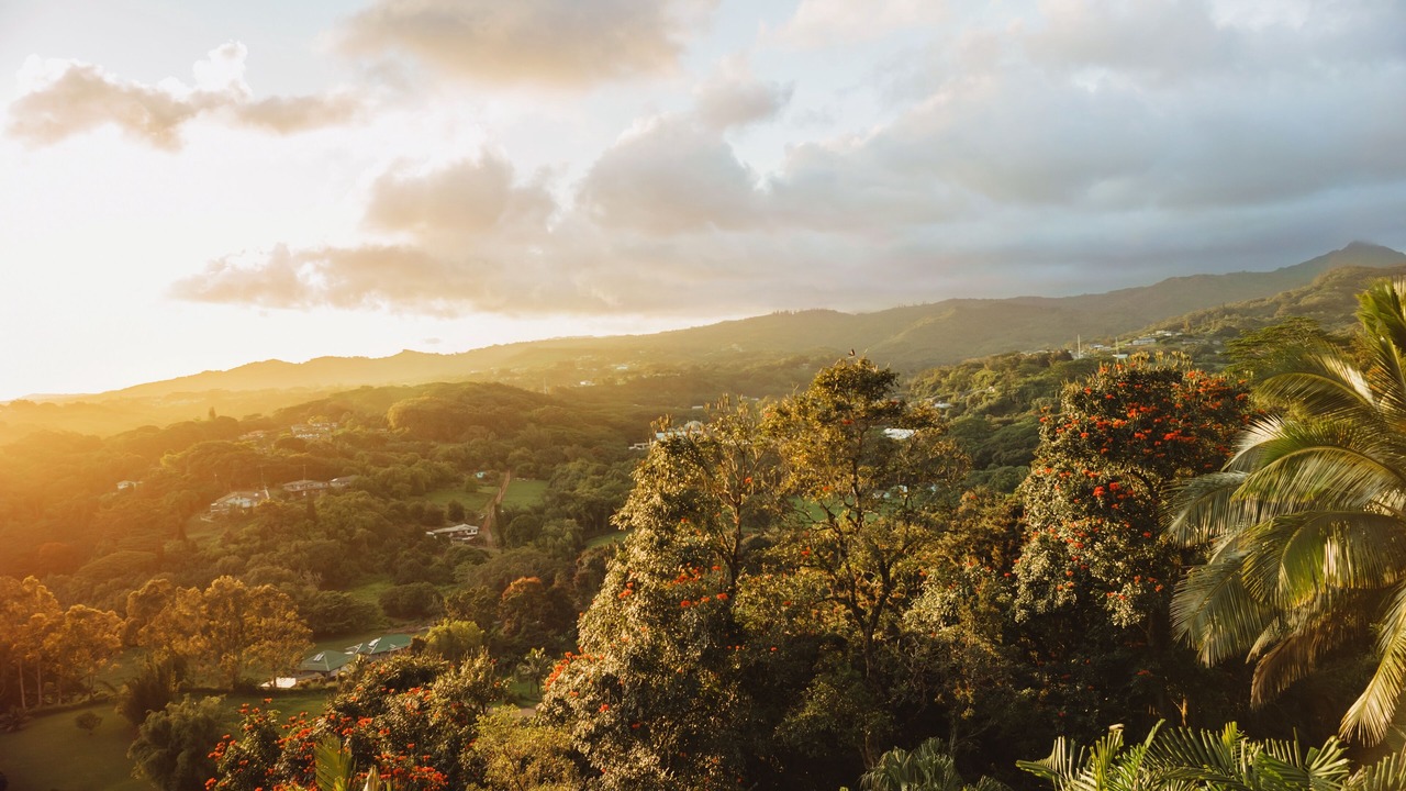 Photo of Others in Lawai