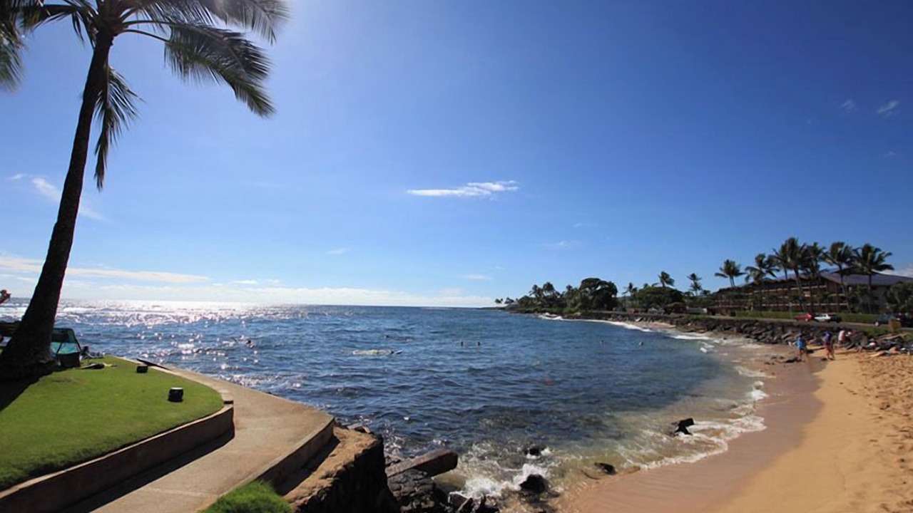 Photo of Others in Poipu