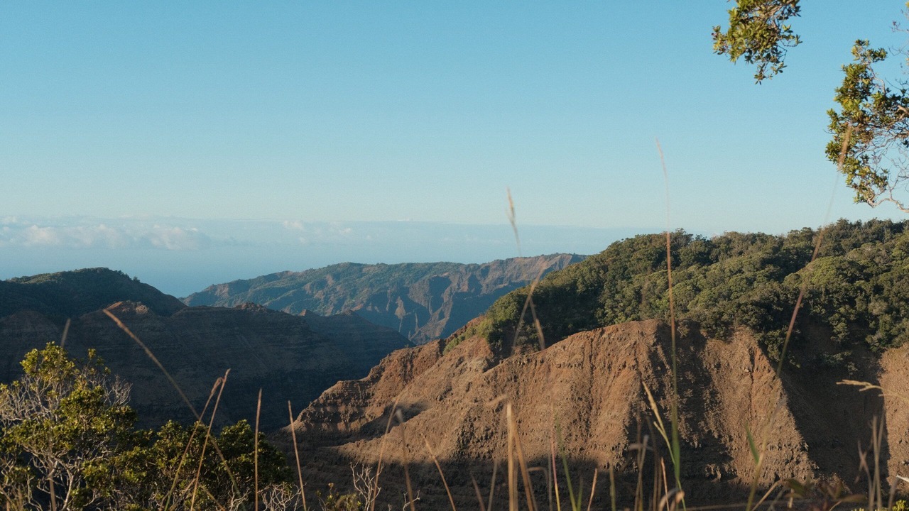 Photo of Others in Wailua