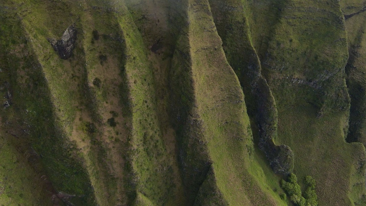 Photo of Others in Wailua