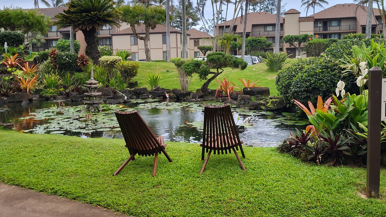 Photo of Outdoor in Kapaa