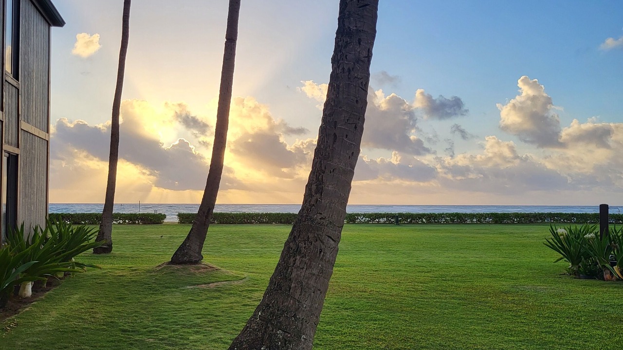 Photo of Outdoor in Kapaa