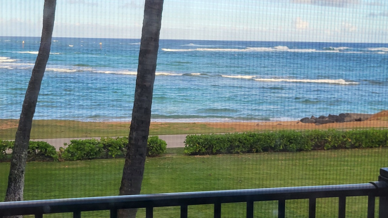 Photo of Outdoor in Kapaa
