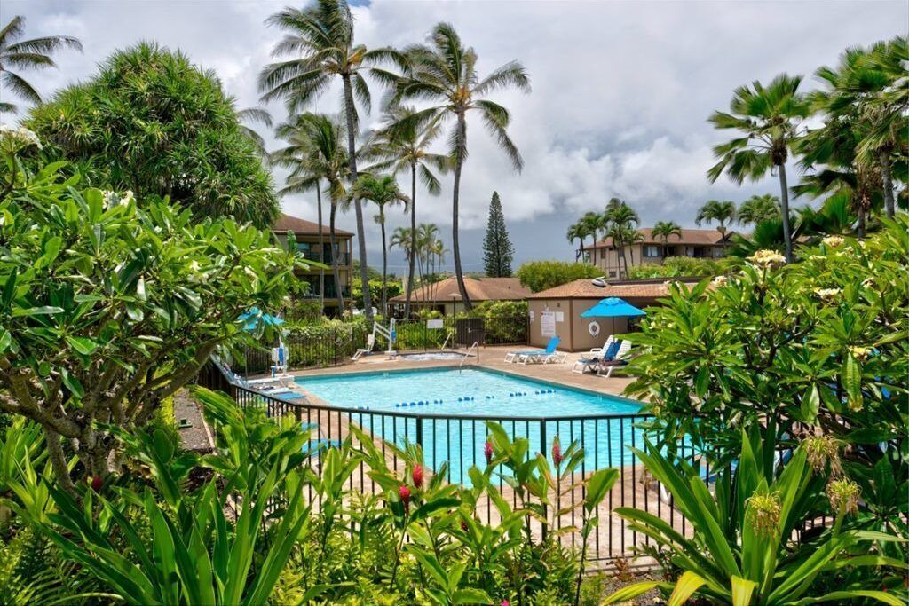 Photo of Outdoor in Kapaa