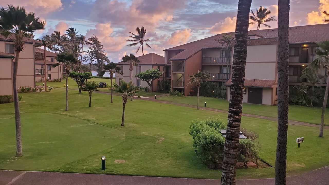 Photo of Outdoor in Kapaa