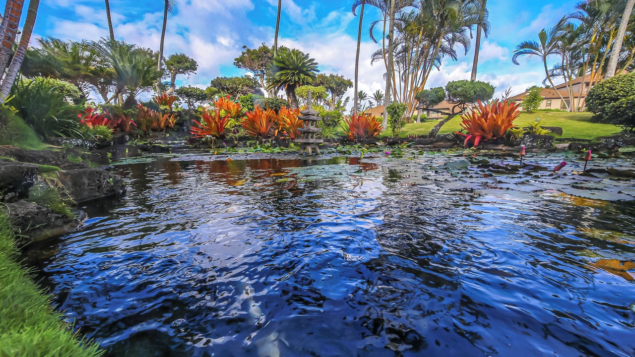 Photo of Outdoor in Kapaa