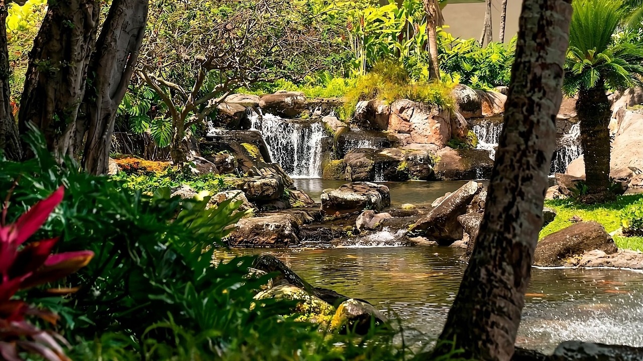 Photo of Others in Lihue