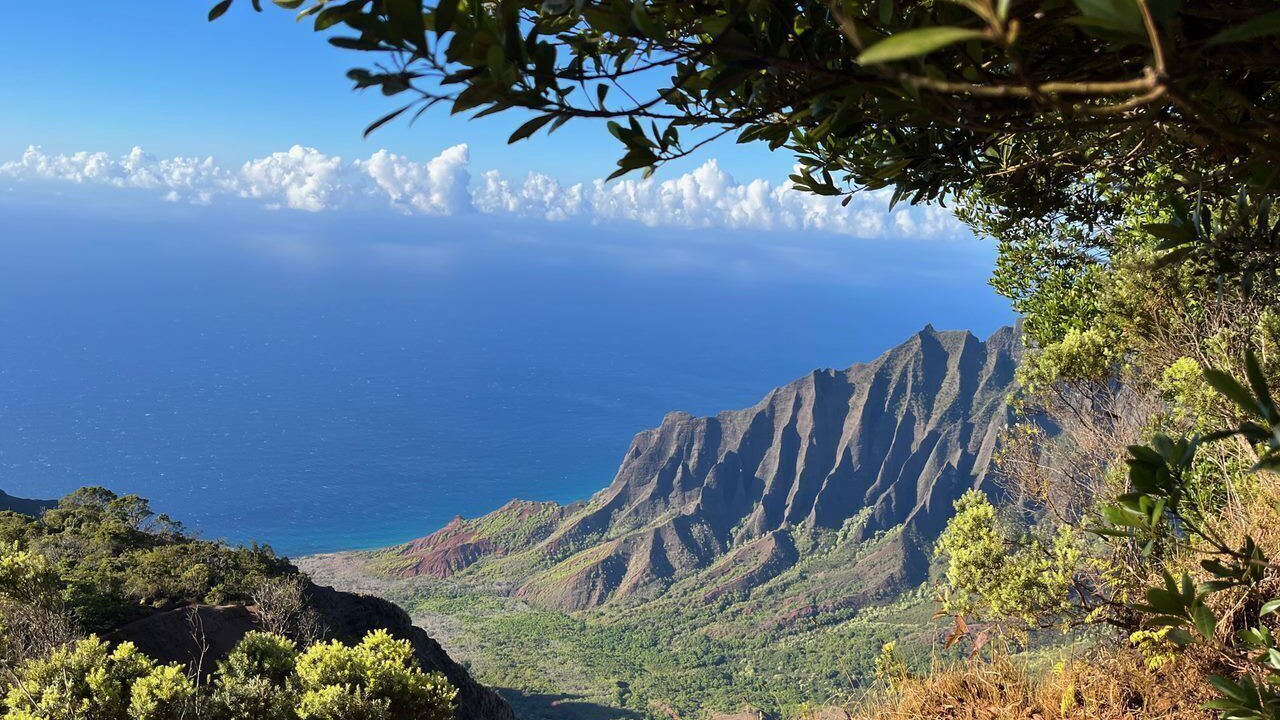 Photo of Others in Princeville