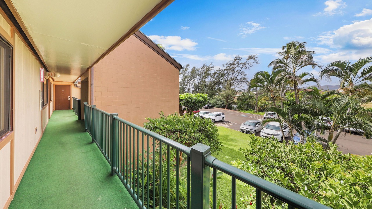 Photo of Outdoor in Kapaa