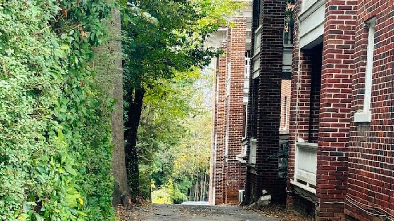 Photo of Outdoor in Virginia Highland