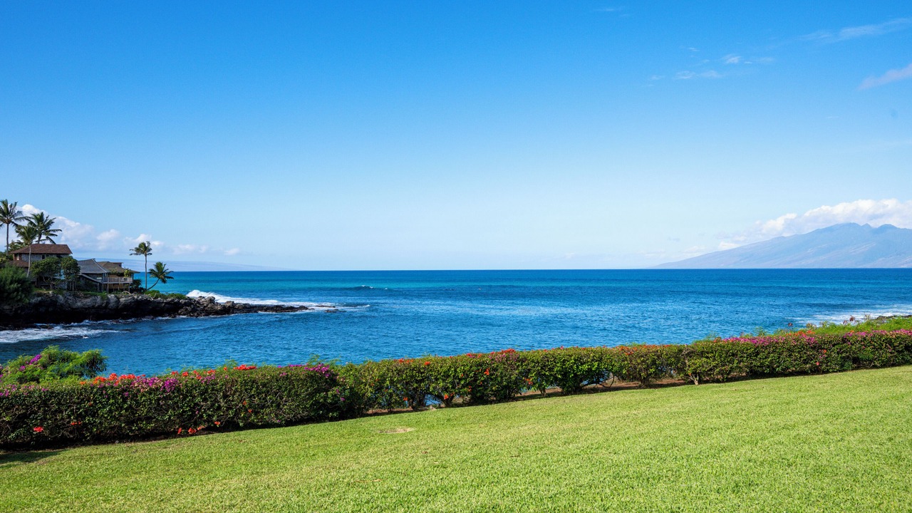 Photo of Others in Napili