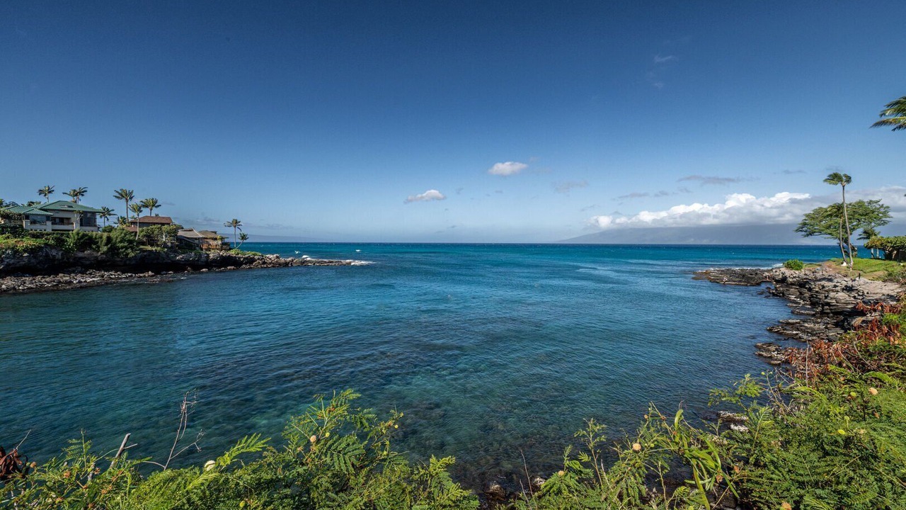 Photo of Others in Napili