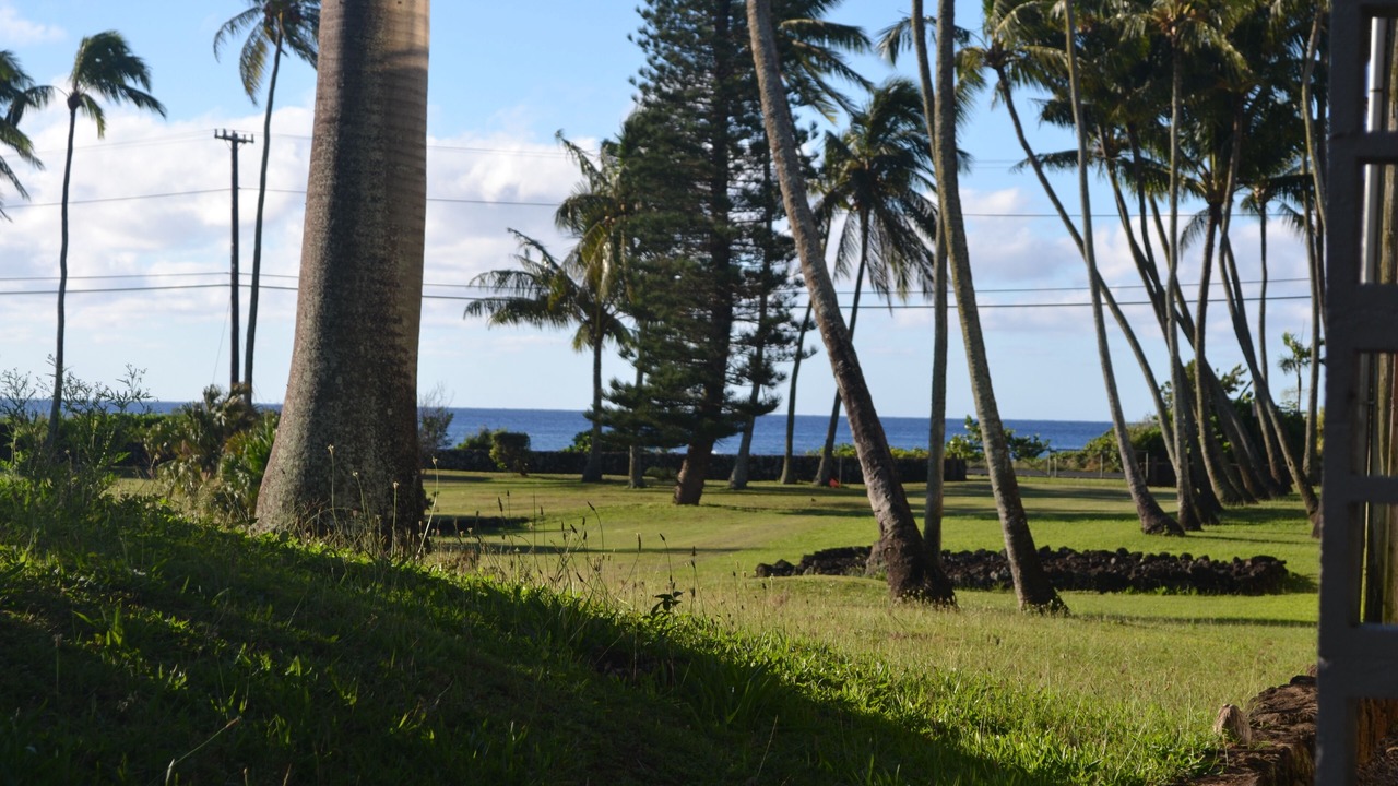 Photo of Outdoor in Poipu