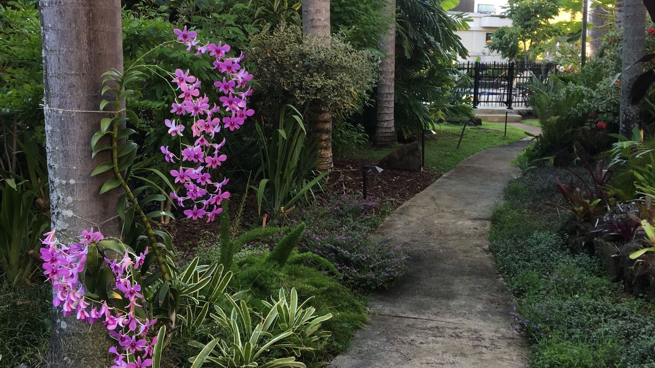 Photo of Outdoor in Poipu