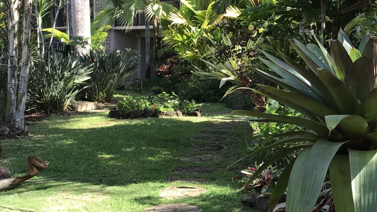 Photo of Outdoor in Poipu
