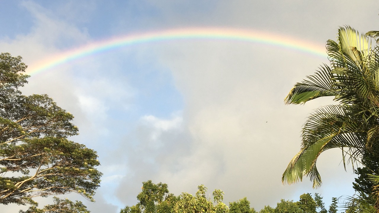 Photo of Others in Poipu