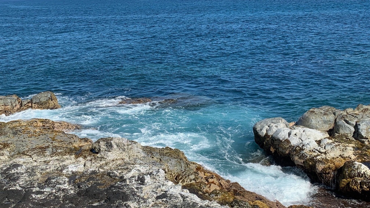 Photo of Others in Princeville